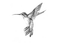 Hummingbird - Free animated GIF