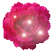 Flower - Animovaný GIF zadarmo animovaný GIF