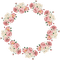 flower circle frame cercle fleur cadre