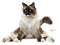 patymirabelle chat - Free PNG Animated GIF
