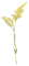 Yellow Flowers.Fleurs.Mimosa.Victoriabea - PNG gratuit GIF animé
