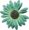 Flower Blume Button Knopf green - png gratis GIF animado