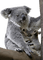 Koala - ücretsiz png animasyonlu GIF