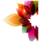 орнаментдекор - Free PNG Animated GIF