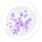Kaz_Creations Deco Flowers Colours - kostenlos png Animiertes GIF