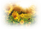 sunflowers bp