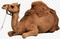 Camelo - ingyenes png animált GIF