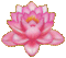 Vanessa Valo _crea=pink lily glitter - Бесплатный анимированный гифка анимированный гифка