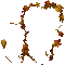 autumn frame (created with gimp)