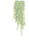 PLANTAS - darmowe png animowany gif