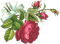 soave deco flowers rose branch vintage pink green - png gratis GIF animado