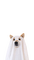 HALLOWEEN DOG ●[-Poyita-]● - 免费PNG 动画 GIF