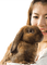 Kaz_Creations Woman Femme Rabbit - 免费PNG 动画 GIF