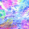 Sa / BG /frame.tropical.anim.rainbow.idca - Бесплатный анимированный гифка анимированный гифка