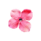 kikkapink deco love valentine pink flower - фрее пнг анимирани ГИФ
