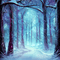 kikkapink winter forest fantasy background