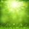 green nature sunlight - PNG gratuit GIF animé