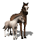 aze cheval s34 marron Brown blanc White - GIF animé gratuit GIF animé
