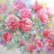 soave background animated flowers rose spring