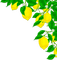 soave deco lemon fruit summer branch corner - бесплатно png анимированный гифка