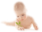 bébé - ingyenes png animált GIF