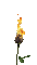 Fleur.Fire.Flower.feu.Burnt.gif.Victoriabea - Animovaný GIF zadarmo animovaný GIF