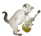 Nina cat - Darmowy animowany GIF animowany gif