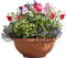 Bloemen en planten - gratis png animeret GIF