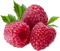 raspberries bp - δωρεάν png κινούμενο GIF