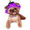 Kaz_Creations Dogs Dog Pup 🐶 - zadarmo png animovaný GIF