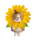 Sunflower Cat - GIF animado gratis GIF animado