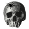 Skull.crâne.Spider.Gothic.Victoriabea - PNG gratuit GIF animé
