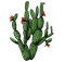 cactus sunshine3 - darmowe png animowany gif