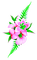 Flowers.Pink.Green - PNG gratuit GIF animé