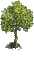 arbre animé / HD - Nemokamas animacinis gif animuotas GIF