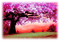 landscape, spring - gratis png geanimeerde GIF