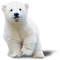 tiere - 免费PNG 动画 GIF