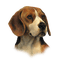 cecily-chien - kostenlos png Animiertes GIF