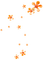 Flowers.Orange - PNG gratuit GIF animé