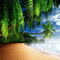 fond beach sea - nemokama png animuotas GIF
