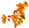 hojas - Free PNG Animated GIF