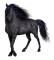 Kaz_Creations Animals Horses Horse - PNG gratuit GIF animé