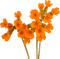 fleur orange.Cheyenne63 - δωρεάν png κινούμενο GIF