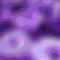 Purple Donuts Background - GIF animado grátis Gif Animado