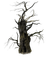 Creepy Tree - PNG gratuit GIF animé