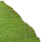 Gras - gratis png animeret GIF