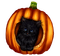 Autumn.Halloween.Cat.Black - Free PNG Animated GIF