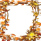 automne cadre feuilles -autumn leaves  frame