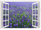 window lavender - PNG gratuit GIF animé