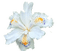 Iris Flower - zdarma png animovaný GIF